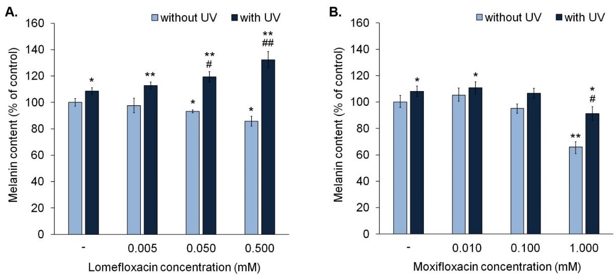 Fluoroquinolones reduce melanin levels in melanocytes independently. Lomefloxacin enhances UVA radiation's effect on melanin levels.