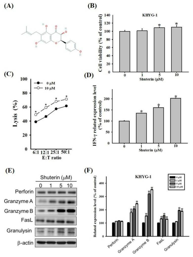 Shuterin enhanced the cytolytic activity of KHYG-1 cells.