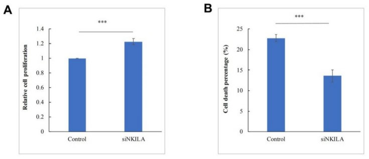 (A) Cellular proliferation upon knockdown of NKILA is studied using the trypan blue assay at 48 h post-transfection. (B) Cell death upon knockdown of NKILA is studied using the trypan blue exclusion assay at 24 h post-transfection.