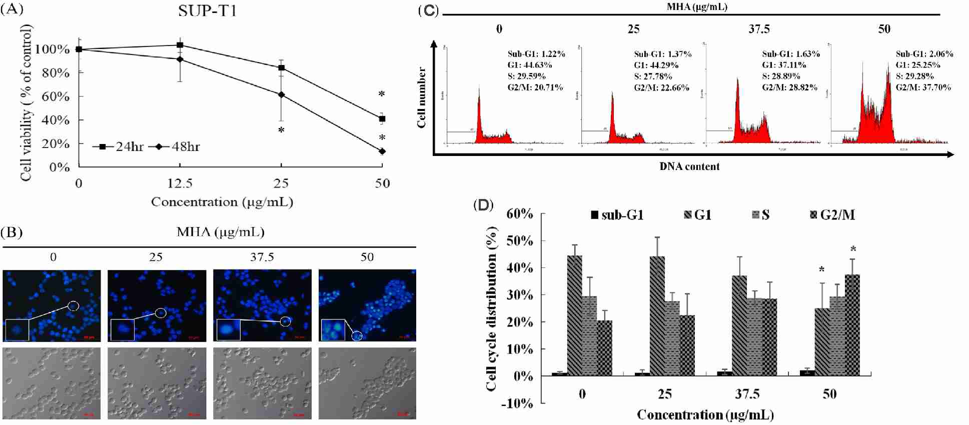 MHA treatment impeded the proliferation of SUP-T1 cells.