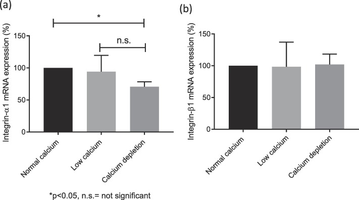 mRNA expression levels of integrins α1 (a) and β1 (b) in endothelial/trophoblast co-culture with varying calcium concentrations.