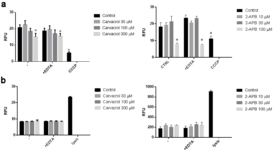 The activation of transient receptor potential vanilloid-3 (TRPV3) in normal human epidermal keratinocytes (NHEK) leads to apoptosis without causing necrosis.