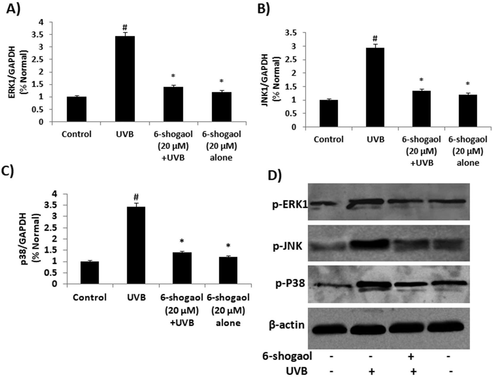 6-Shogaol affects MAPKs signaling pathways in human epidermal keratinocytes exposed to UVB radiation.