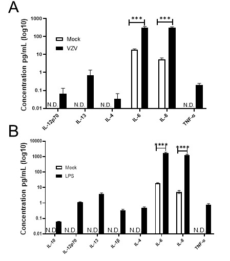 Quiescent human adrenal cortical cells (qHAdCCs) infected with VZV release pro-inflammatory cytokines.