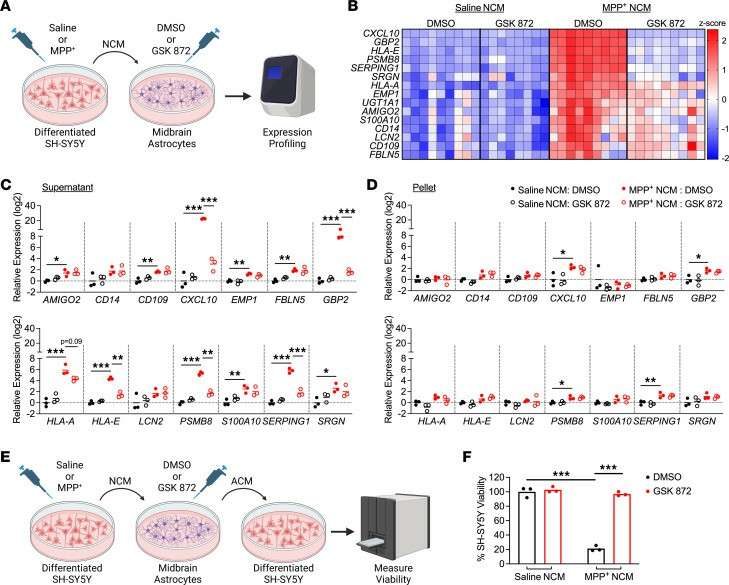 Secreted factors from dying neurons trigger astrocyte activation via RIPK3 signaling.