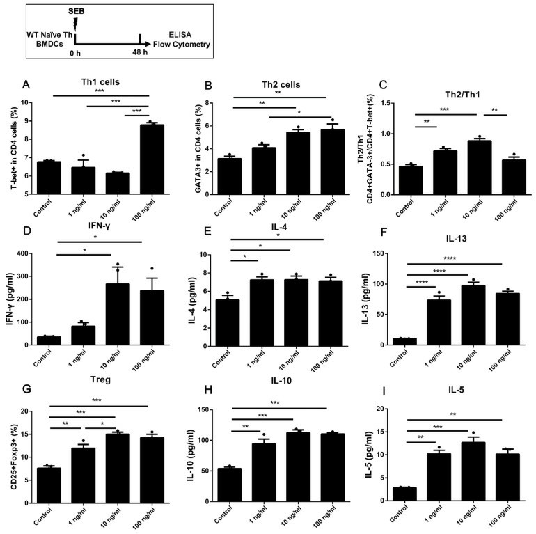 Differentiation of wild-type naive Th cells co-cultured with bone marrow-derived dendritic cells when stimulated with SEB