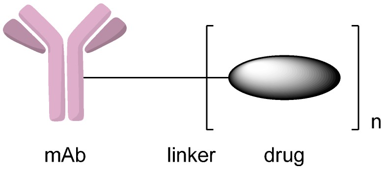 The analytes commonly used for the evaluation of ADC PK and their associated PK profiles are shown.