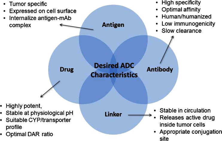 The analytes commonly used for the evaluation of ADC PK and their associated PK profiles are shown.