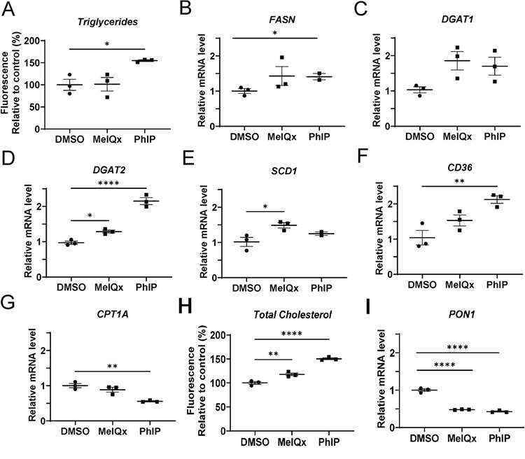 Alterations in intracellular triglycerides and gene expression related to lipid synthesis and metabolism following HCA exposure in cryopreserved human hepatocytes.