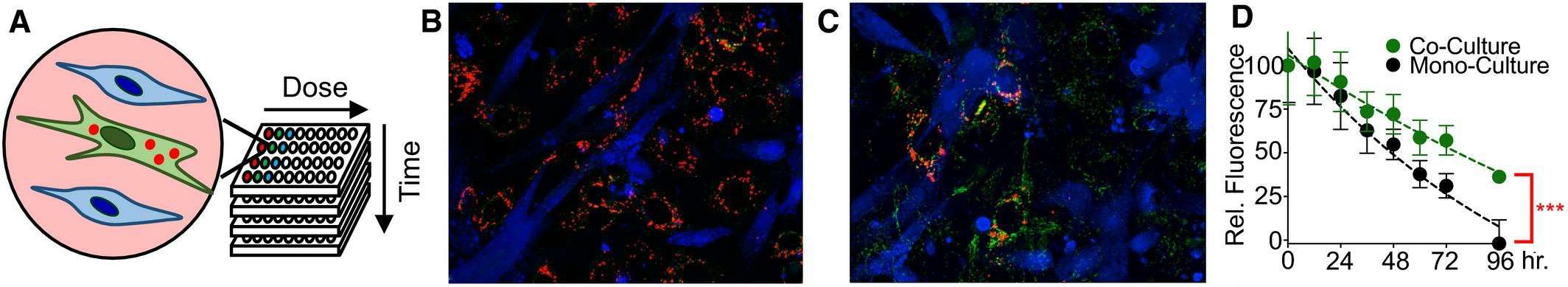 A coculture screen aimed at identifying tumor-stroma interactions uncovers varying interactions between fibroblasts and TNBC cells.