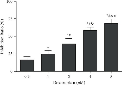 Effect of doxorubicin on the proliferation of OCI-LY1 cells.