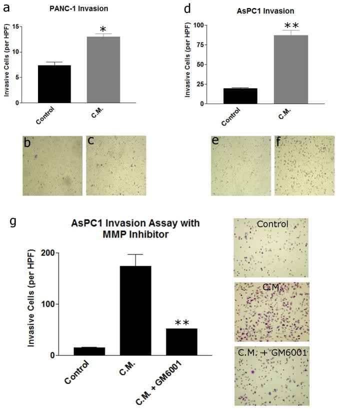 Knock-down of RFC3 alleviated cell viability and proliferation in OVCAR-3 cells.