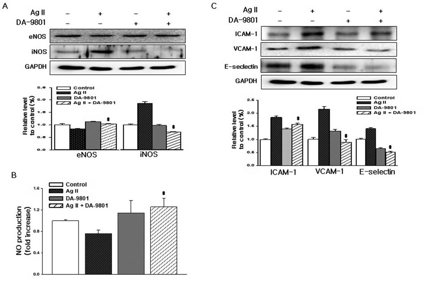 DA-9801 reduces Angiotensin II-induced inflammation in HDMECs.