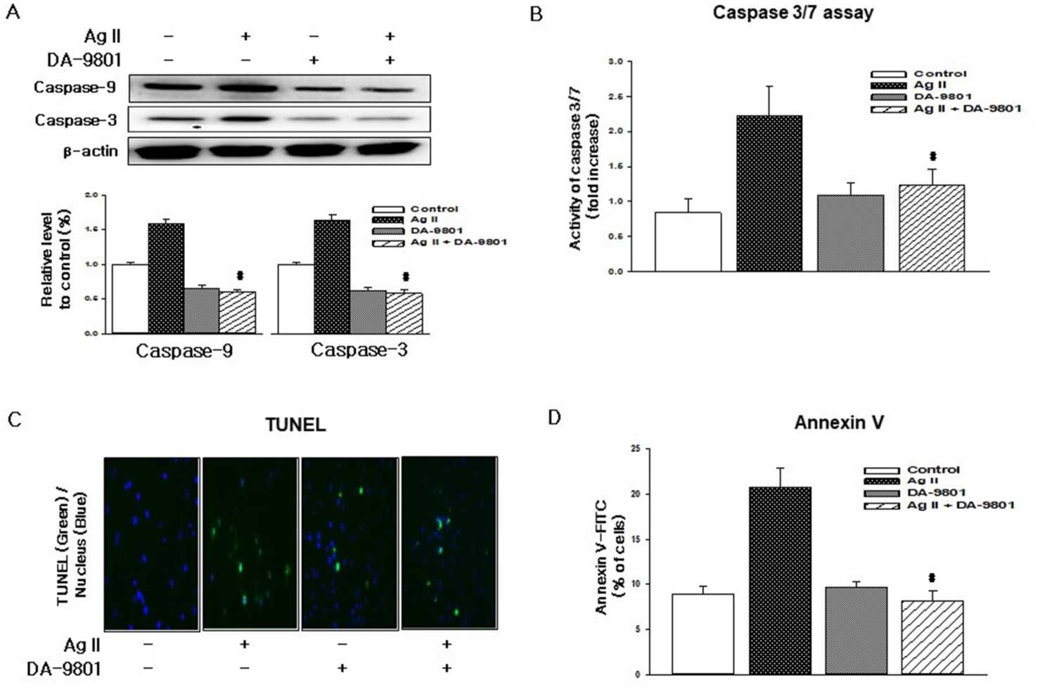 DA-9801 inhibits Ang II-induced apoptosis in human dermal microvascular endothelial cells.