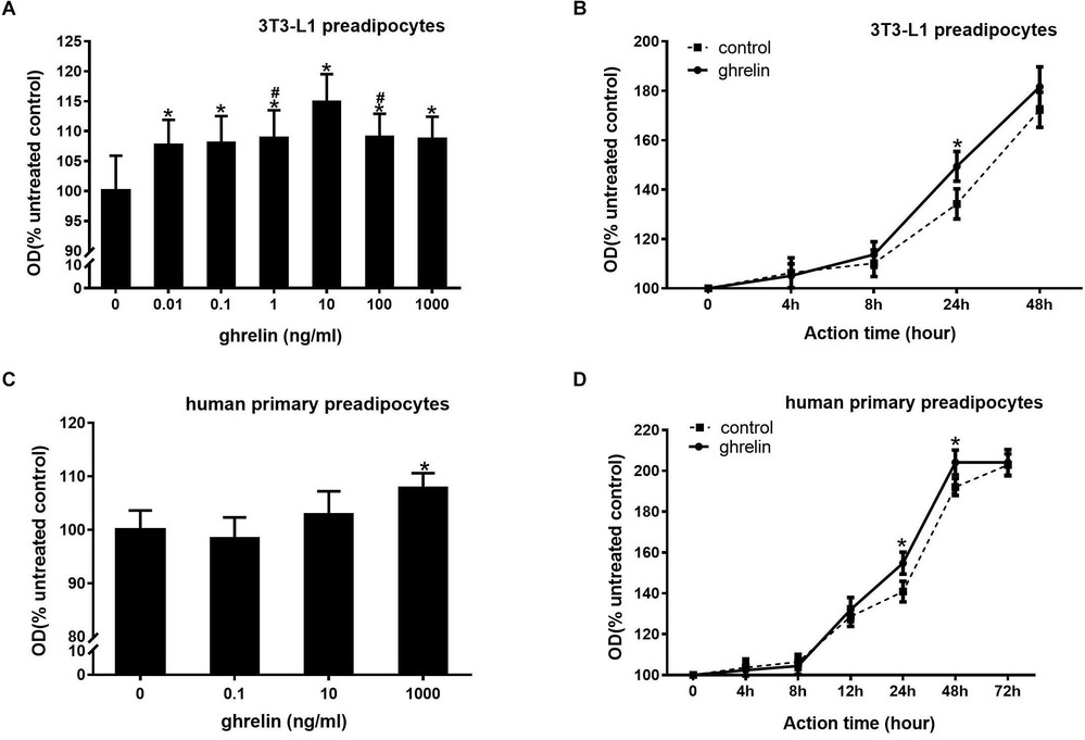 Ghrelin and IGF-1 enhanced the proliferation of both mouse 3T3-L1 preadipocytes and human primary preadipocytes.