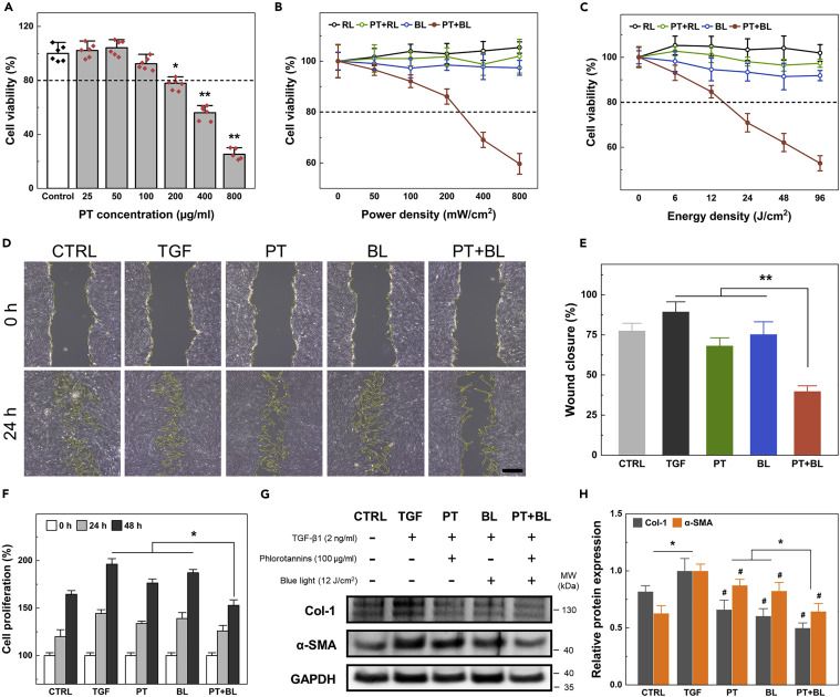 The combined biomodulatory effects of PT and BL on human tracheal fibroblasts.