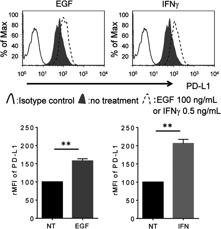 LC‐2/ad cells were treated with 100 ng/mL EGF or 0.5 ng/mL IFNγ for 24 h followed by evaluation of PD‐L1 expression using flow cytometry.