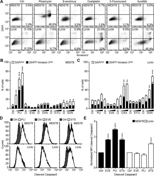 A Representative dot plots of untreated MDST8 and LoVo controls (Ctrl) or treated with plicamycin 100 nM, EVE 1 μM, OXA 10 μM, 5-FU 10 μM, and SUN 10 μM. B, C The frequency of dying (DAPIlowAnnexinVhigh) and dead (DAPIhigh) cells among the MDST8 (B) and LoVo (C) cells elicited by the corresponding drugs, as determined by analysis with the FlowJo software. D, E MDST8 cells were treated with 50 nM PLI, 0.1 μM EVE, or the positive control staurosporine (STS) 0.1 μM for 48 h. Caspase-3 activation was measured by flow cytometric analysis upon staining with specific antibodies.