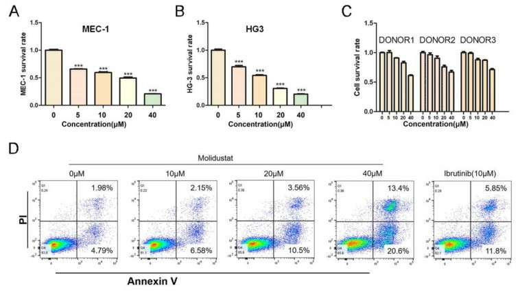 (A, B) CCK-8 assay of the effects of 0, 5, 10, 20, or 40 μM of molidustat on the MEC-1 and HG3 cell lines. (C) CCK-8 assay of the effects of 0, 5, 10, 20, or 40 μM of molidustat on mononuclear cells in normal human peripheral blood. (D) MEC-1 cells were treated with 0, 10, 20, or 40 μM molidustat and 10 μM ibrutinib for 48 h, and the apoptosis rate was determined by flow cytometry.