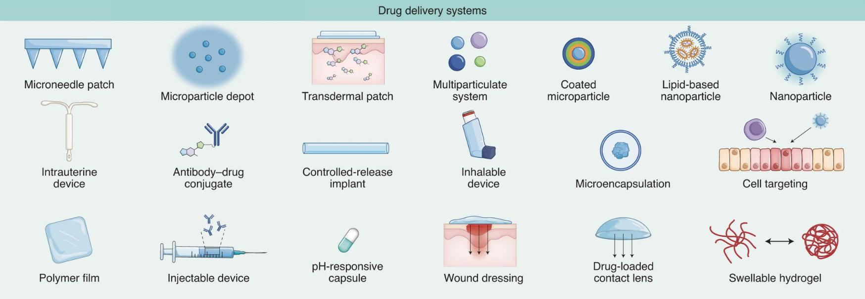 Several common drug delivery systems in scientific research.