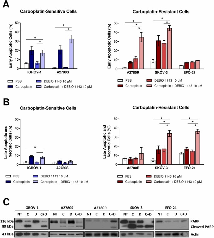 Induction of apoptosis in HOAC cells in vitro by DEBIO 1143 alone or in combination with carboplatin.