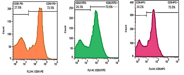 Flow cytometry positive for exosomes CD81, CD63, CD9.