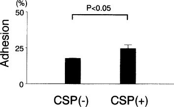 Treatment of OPM-2 cells with CSP led to a significant increase in adhesion of the cells to HUVECs (P < .05).