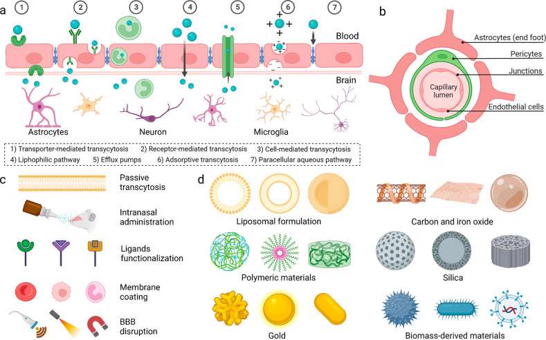 Schematic diagram of different mechanisms for BBB crossing (a). Schematic diagram of BBB structure. c Engineered materials for brain-targeted drug delivery. d Various non-invasive strategies for BBB crossing (b).