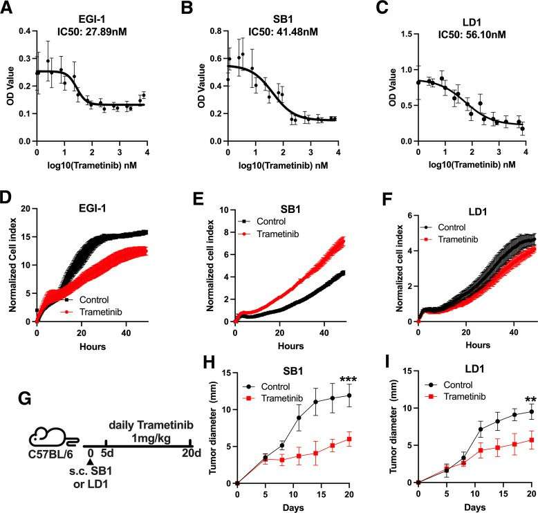 Trametinib inhibits tumor proliferation both in vitro and in vivo.