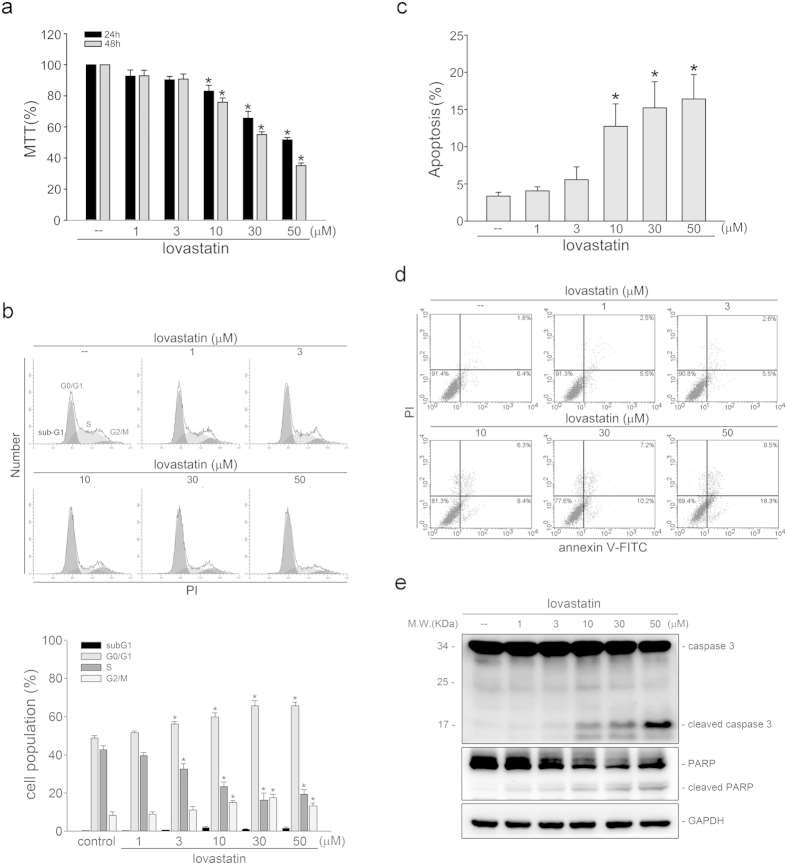 Lovastatin induced FaDu cell apoptosis.