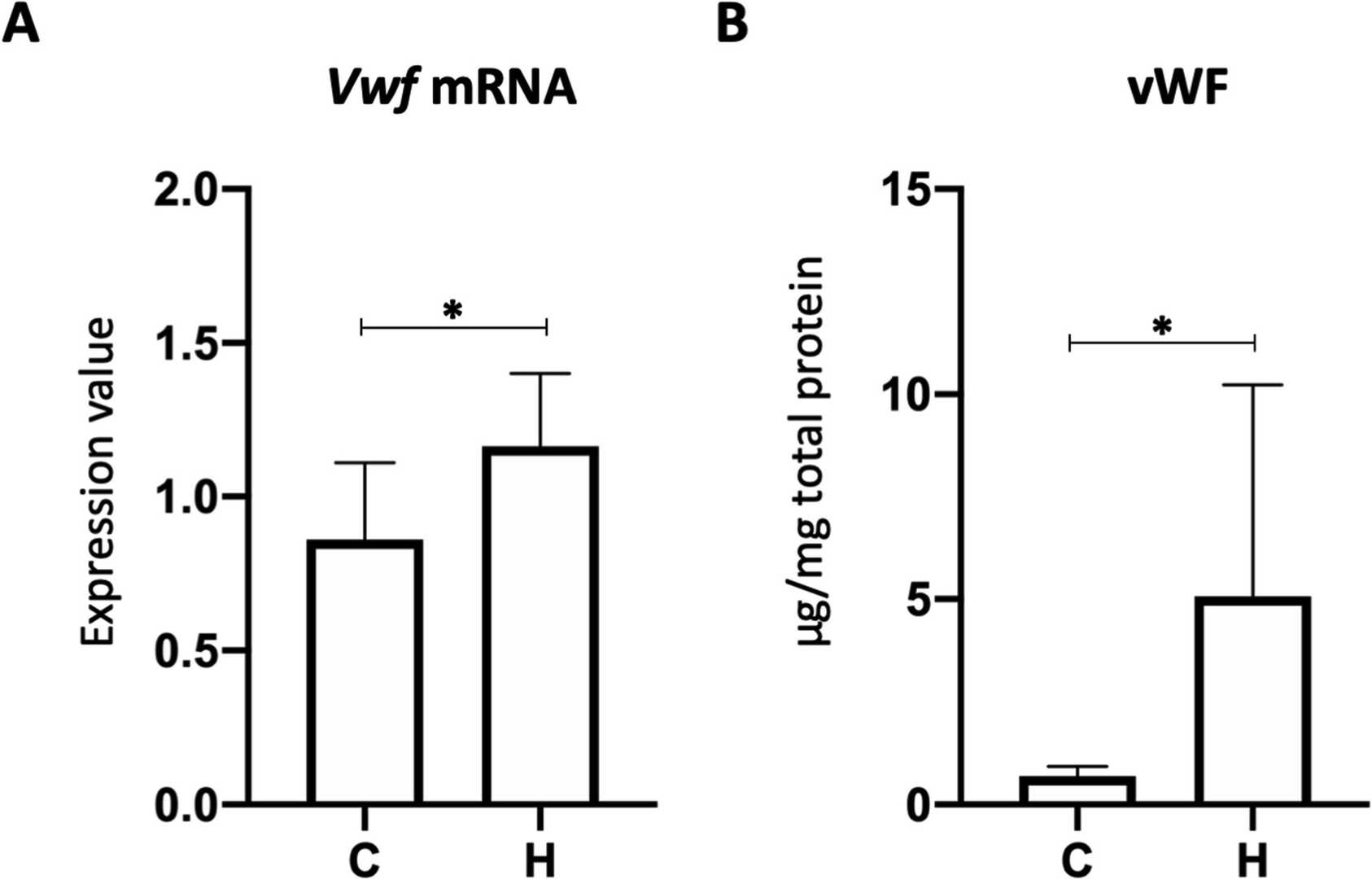 vWF expression in human splenic endothelial cells cultured at a low temperature.