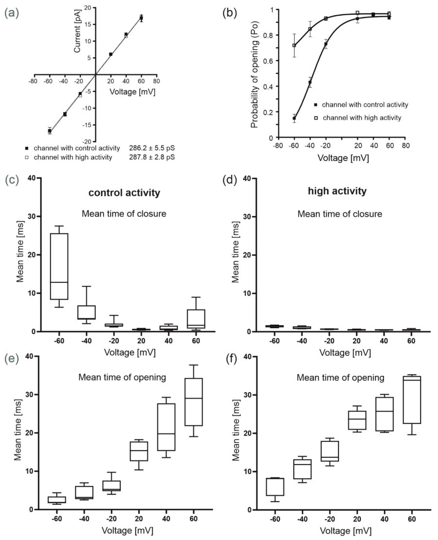 Biophysical properties of two types of mitoBKCa channels (control and highly active) present in the mitochondrial inner membrane of human bronchial epithelial cells.