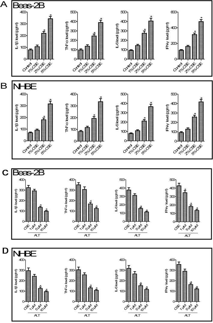 ALT inhibited CSE induced IL-1β, TNF-α, IL-6 and IFN-γ production in Beas-2B and NHBE cells.