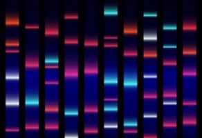 Major Problems Caused by the Use of Uncharacterized Cell Lines