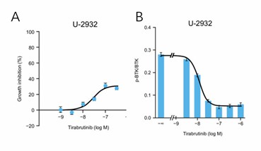 U-2932 cells were treated with vehicle or different concentrations of tirabrutinib. After culturing, the growth inhibition rate (%) was calculated (A). Autophosphorylated BTK (p-BTK) and total BTK (BTK) proteins were detected by western blot analysis (B).