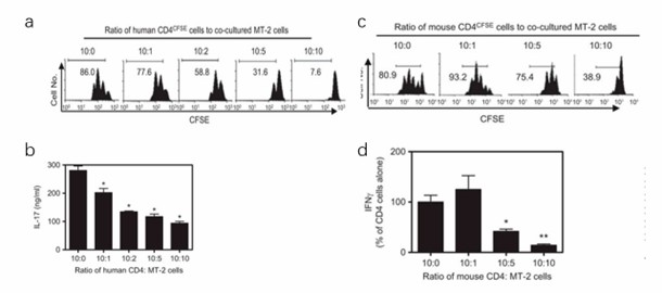 MACS-purified PB human CD4 cells or mouse CD4 cells were stained with CFSE and were cocultured with MT-2 cells at the indicated ratios. The cells were stimulated with APCs and anti-CD3 Ab for 3 days. The proliferation of PB human CD4 cells (b) or mouse CD4 cells (d) was measured by CFSE dilution with FACS. Production of IL-17 by human CD4 cells (c) and IFN-γ by mouse CD4 cells (e) in the supernatant was determined and the data was shown.