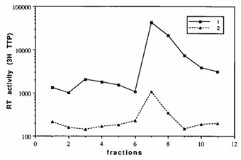 1, reaction with exogenous poly(rA)-oligo(dT); 2, reaction without exogenous template. The density of each fraction: 1, 1.10 g/cm3; 2, 1.11 g/cm3; 3, 1.12 g/cm3; 4, 1.125 g/cm3; 5,1.135 g/cm3; 6, 1.145 g/cm3; 7, 1.155 g/cm3; 8, 1.16 g/cm3; 9, 1.165 g/cm3; 10, 1.17 g/cm3; 11, 1.175 g/cm3.