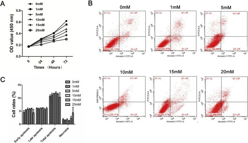 Metformin inhibits cell proliferation in SKM-1 cells.