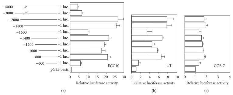 (Functional analysis of human ghrelin promoter in cultured cells. Cell specificity of human ghrelin promoter activity was examined.