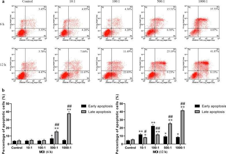 Apoptosis in osteoblasts induced by E. faecalis was examined in early and late stages with Annexin V-FITC/PI staining. 