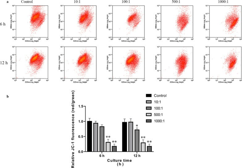 The in osteoblasts infected with E. faecalis OG1RF was assessed using JC-1 staining. 