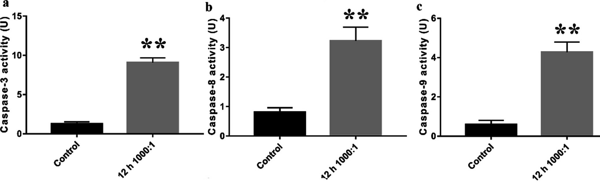 Both intrinsic and extrinsic apoptotic pathways were activated in E. faecalis-infected osteoblasts.