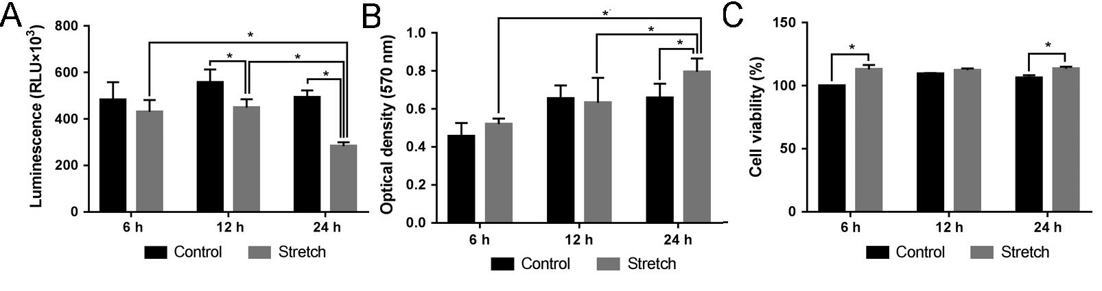 (A) Effect of mechanical stretch on caspase 3/7 activities. (B) Effect of mechanical stretch on proliferation. (C) Effect of mechanical stretch on viability.