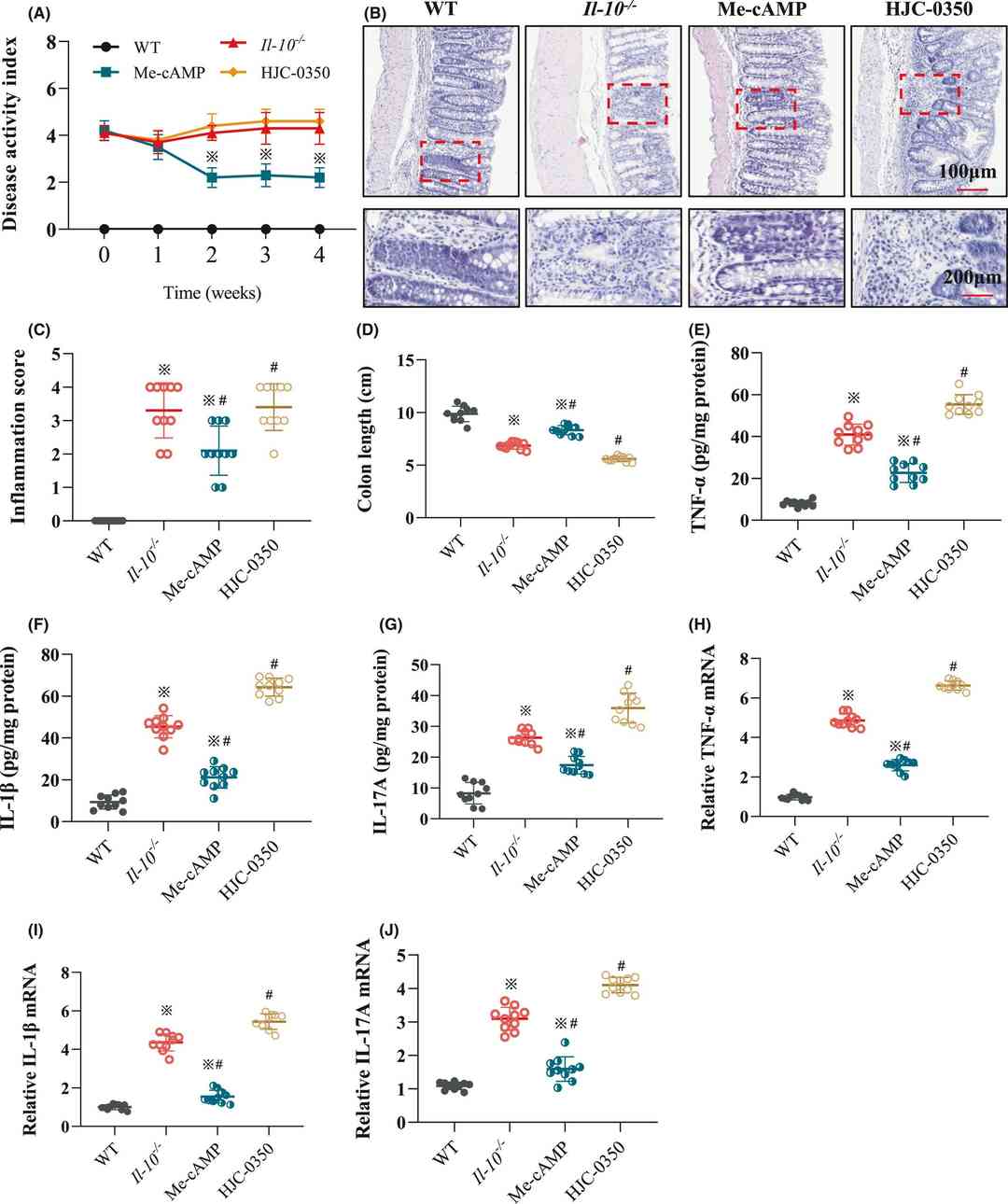 Fig. 1: Figure showing the impact of Epac-2 on colitis in IL-10-/- mice, detailing disease scores, histology, colon length, and cytokine levels.