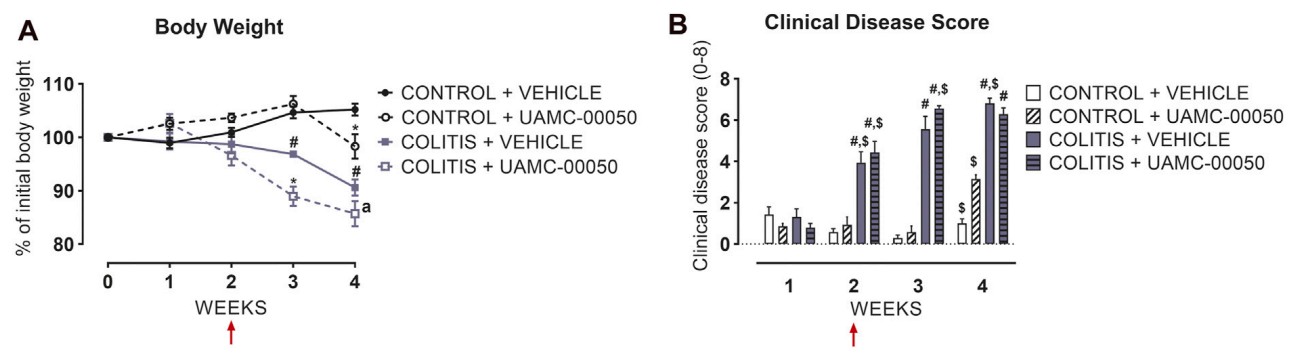 Graph showing the impact of UAMC-00050 treatment on body weight (A) and clinical disease scores (B) in experimental colitis models.