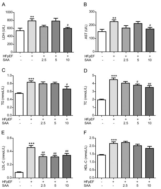 Fig. 2：SAA regulates heart injury and lipid metabolism in HFpEF mice, affecting LDH, AST, TG, TC, LDL-C, and HDL-C levels.