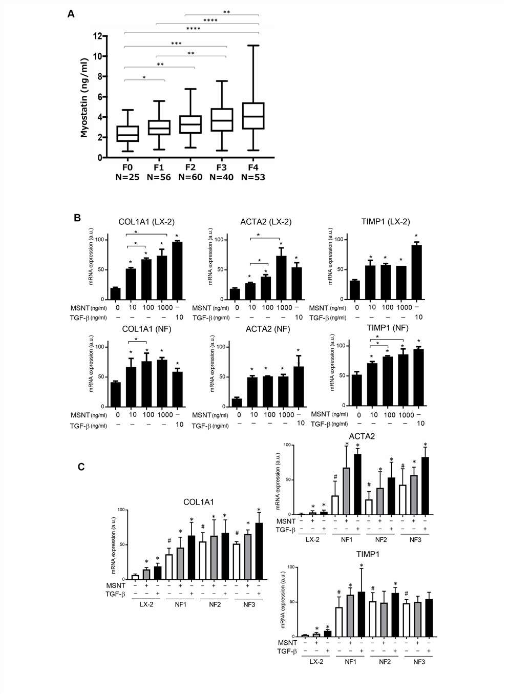 Myostatin activates liver fibroblasts.