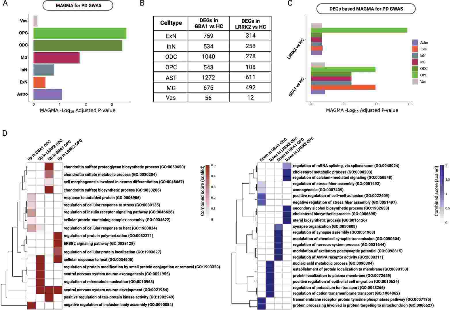 Integration of snRNA-seq data with PD genome-wide association studies (GWAS) showed the significant association of oligodendrocytes (ODCs), oligodendrocyte precursor cells (OPCs) and microglia (MG) with PD-linked risk loci.