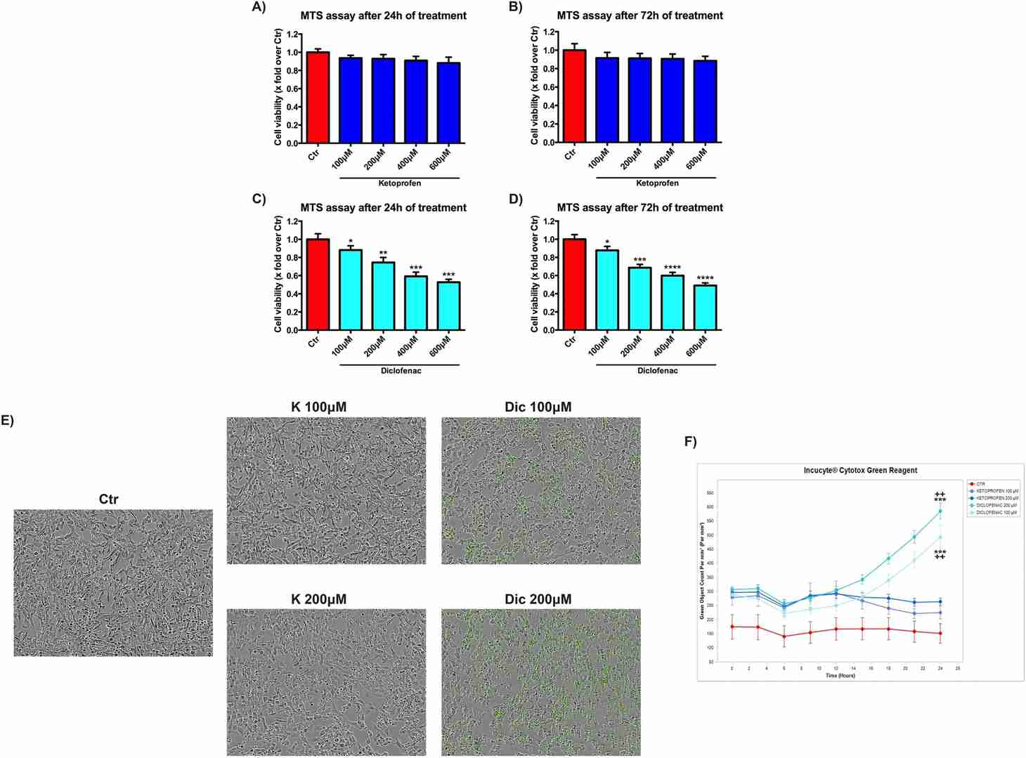 Cell viability assay on immortalized human cardiomyocytes upon Ketoprofen (K) and Diclofenac (Dic) exposure for 24-72 h.