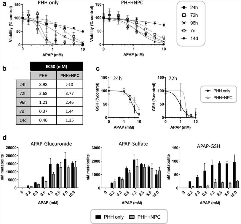 Liver non-parenchymal cells provide protection against acetaminophen-induced toxicity.